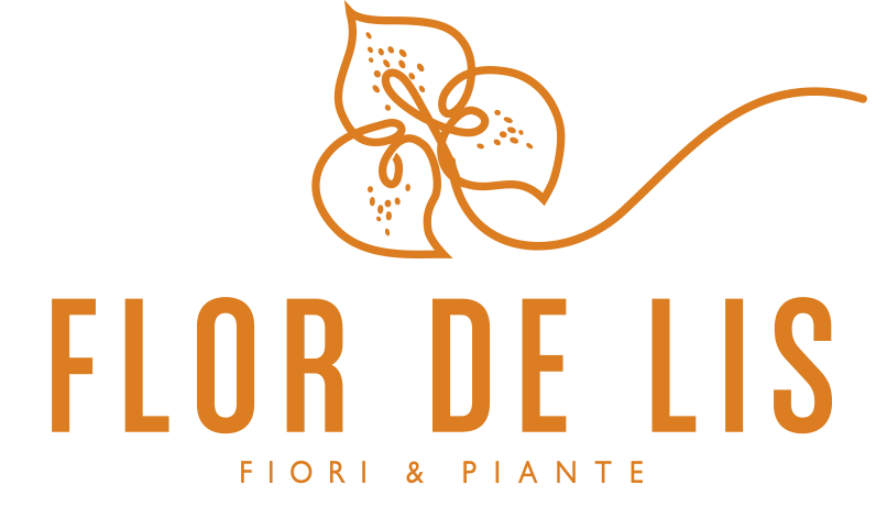Flor de Lis Firenze